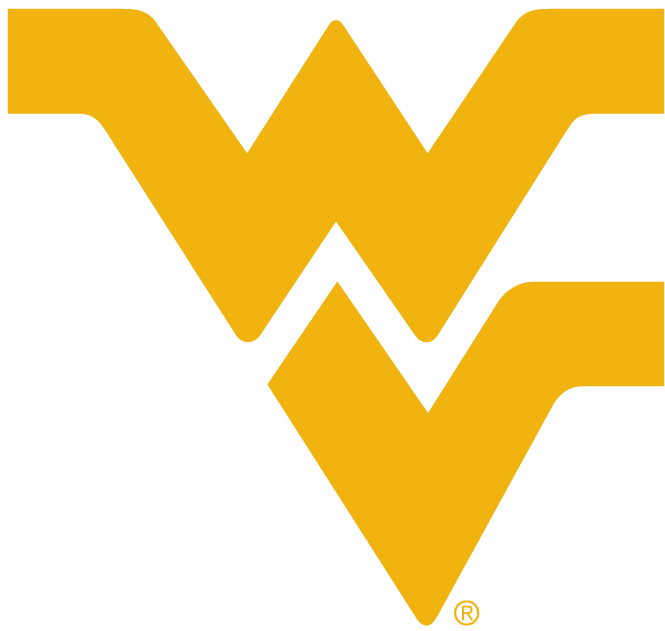 West Virginia Mountaineers 1980-Pres Alternate Logo v4 iron on transfers for clothing